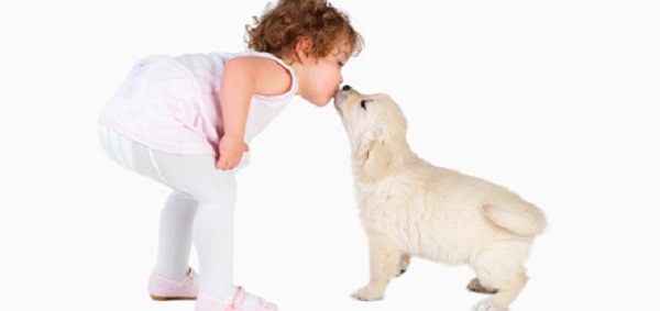 perro-y-niño-dandose-un-beso